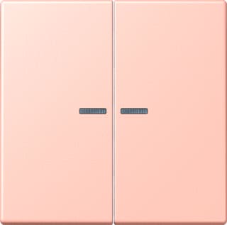 Jung - LS RANGE Intelligent bedieningselement home stuurafd 2v lc32112
