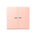 Jung - LS RANGE Intelligent bedieningselement home stuurafd 2v lc32112