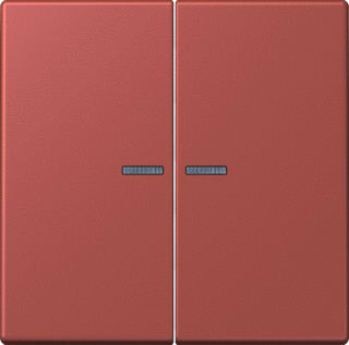 Jung - LS RANGE Intelligent bedieningselement home stuurafd 2v lc32121