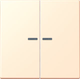 Jung - LS RANGE Intelligent bedieningselement home stuurafd 2v lc32123