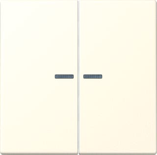 Jung - LS RANGE Intelligent bedieningselement home stuurafd 2v lc4320b