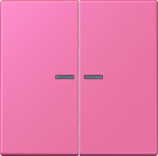 Jung - LS RANGE Intelligent bedieningselement home stuurafd 2v lc4320c