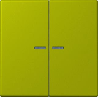 Jung - LS RANGE Intelligent bedieningselement home stuurafd 2v lc4320f