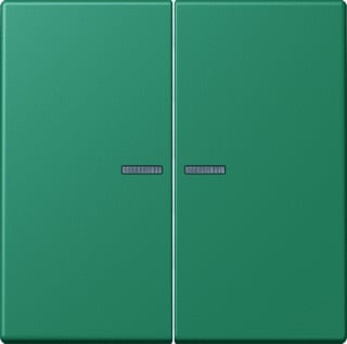 Jung - LS RANGE Intelligent bedieningselement home stuurafd 2v lc4320g