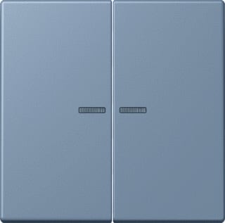 Jung - LS RANGE Intelligent bedieningselement home stuurafd 2v lc4320o
