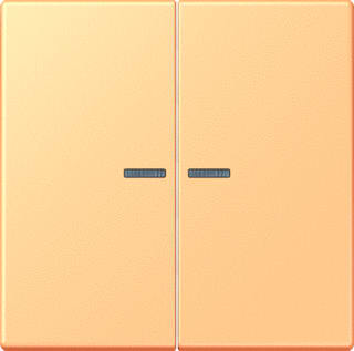 Jung - LS RANGE Intelligent bedieningselement home stuurafd 2v lc4320p