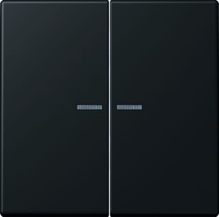 Jung - LS RANGE Intelligent bedieningselement home stuurafd 2v lc4320r