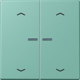 Jung - LS RANGE Intelligent bedieningselement home stafd 2v pl lc32041