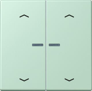 Jung - LS RANGE Intelligent bedieningselement home stafd 2v pl lc32042