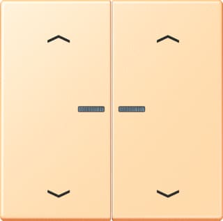 Jung - LS RANGE Intelligent bedieningselement home stafd 2v pl lc32060