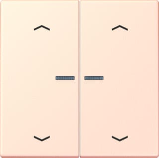 Jung - LS RANGE Intelligent bedieningselement home stafd 2v pl lc32082