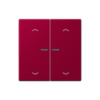 Jung - LS RANGE Intelligent bedieningselement home stafd 2v pl lc32101