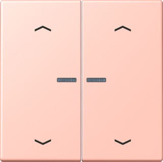 Jung - LS RANGE Intelligent bedieningselement home stafd 2v pl lc32112
