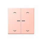 Jung - LS RANGE Intelligent bedieningselement home stafd 2v pl lc32112