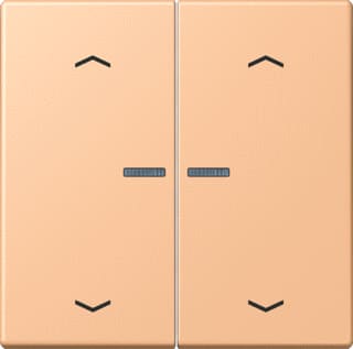 Jung - LS RANGE Intelligent bedieningselement home stafd 2v pl lc32122