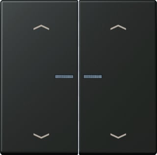 Jung - LS RANGE Intelligent bedieningselement home stafd 2v pl lc32140