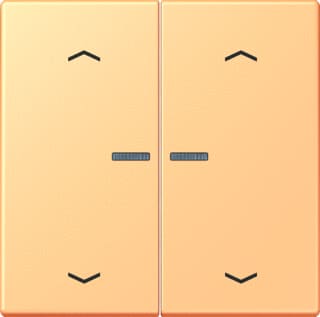 Jung - LS RANGE Intelligent bedieningselement home stafd 2v pl lc4320p