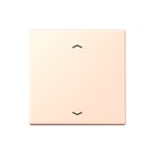 Jung - LS RANGE Intelligent bedieningselement stafd stand pl lc32091