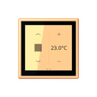 Jung - LS RANGE Meervoudig bed.-element bussysteem touch ruimtecont lc4320p