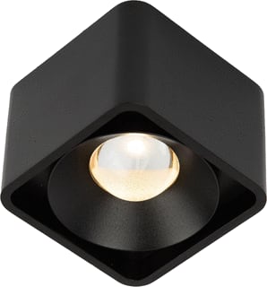 KS Verlichting - Plafond-/wandarmatuur 7876