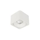KS Verlichting - Plafond-/wandarmatuur  7879