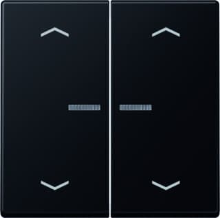 Jung - A RANGE Intelligent bedieningselement home a500 2v grzw pl
