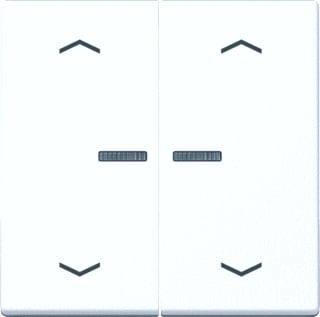 Jung - A RANGE Intelligent bedieningselement home a500 2v snwit pl