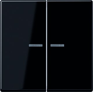 Jung - A RANGE Intelligent bedieningselement home a500 2v zw