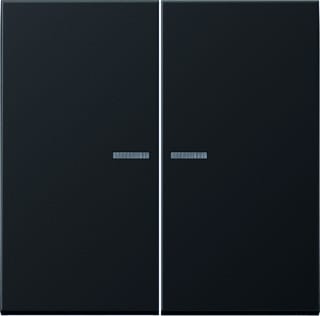 Jung - LS RANGE Intelligent bedieningselement Home Ls 2V Ant