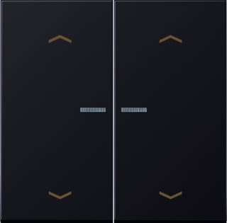 Jung - LS RANGE Intelligent bedieningselement home ls 2v dark pl
