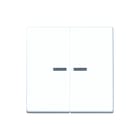 Jung - AS RANGE Intelligent bedieningselement Home As 2V Awit