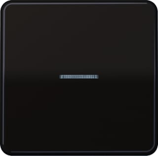 Jung - CD RANGE Intelligent bedieningselement Home Cd 1V Br