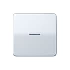 Jung - CD RANGE Intelligent bedieningselement home cd 1v gr