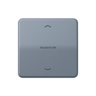 Jung - CD RANGE Intelligent bedieningselement home cd 1v grn pl