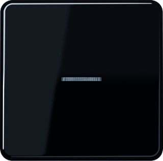Jung - CD RANGE Intelligent bedieningselement home cd 1v zw