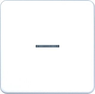Jung - CD RANGE Intelligent bedieningselement Home Cd 1V Awit