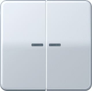 Jung - CD RANGE Intelligent bedieningselement home cd 2v gr