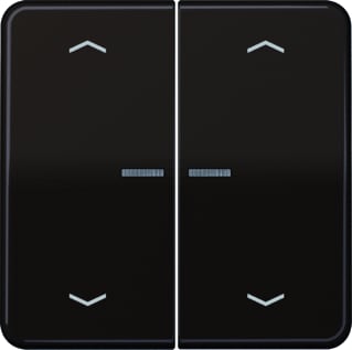 Jung - CD RANGE Intelligent bedieningselement home cd 2v br pl