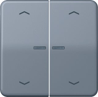 Jung - CD RANGE Intelligent bedieningselement home cd 2v grn pl