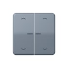 Jung - CD RANGE Intelligent bedieningselement home cd 2v grn pl