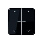 Jung - CD RANGE Intelligent bedieningselement home cd 2v zw pl