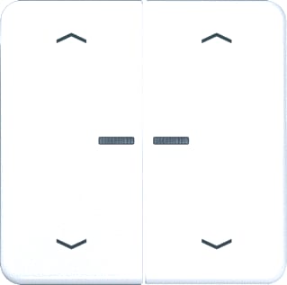 Jung - CD RANGE Intelligent bedieningselement home cd 2v awit pl