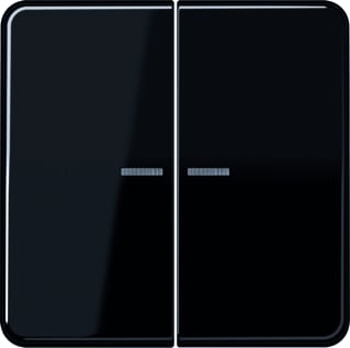Jung - CD RANGE Intelligent bedieningselement home cd 2v zw