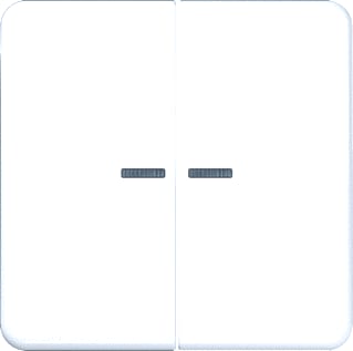 Jung - CD RANGE Intelligent bedieningselement home cd 2v awit