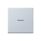 Jung - LS RANGE Intelligent bedieningselement Home Ls 1V Gr