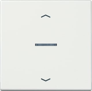 Jung - LS RANGE Intelligent bedieningselement home ls 1v wit pl