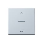Jung - LS RANGE Intelligent bedieningselement home ls 1v gr pl