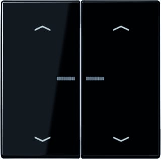 Jung - LS RANGE Intelligent bedieningselement home ls 2v zw pl