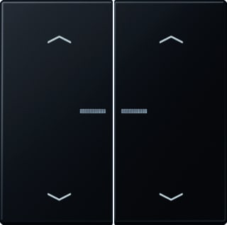 Jung - LS RANGE Intelligent bedieningselement home ls 2v grzw pl