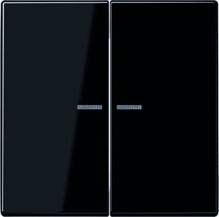 Jung - LS RANGE Intelligent bedieningselement Home Ls 2V Zw